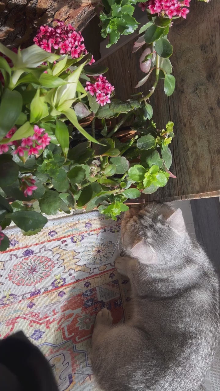 Elf Whisper Charm-sd016